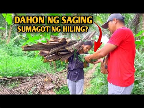 iyot sa dalaga|LAMAN SA LAMAN – kantotero.